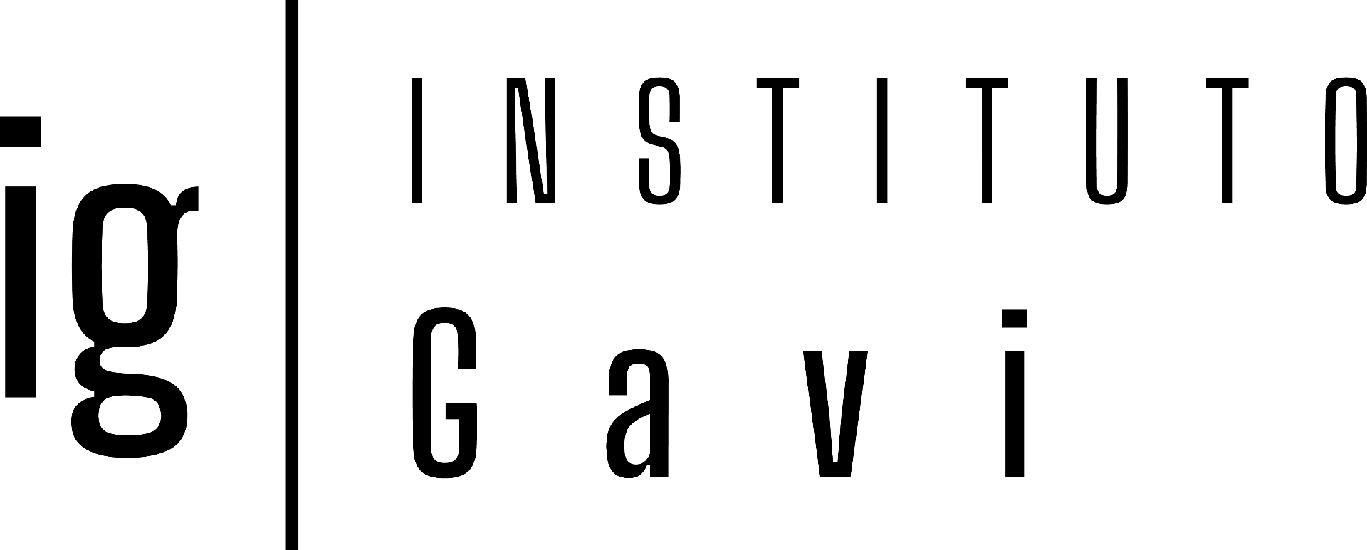 Instituto Gavi